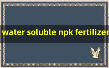 water soluble npk fertilizer powder factory